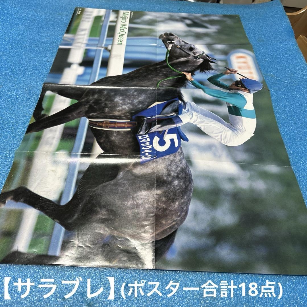 THE GREATEST HORSES 100 ポスター 希少 競馬 JRA THE GREATEST HORSES 100 ポスター 希少 競馬 JRA