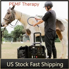 Horse PMST Loop Pemf Magnetic Therapy Device Equine Ankle Rehabilitation Machine