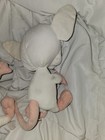 Vintage 1996 Play By Play Pinky and the Brain The Brain Plush Animaniacs Toy Lot — photo 3