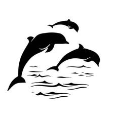 LARGE "large 23" dolphins boat vinyl graphic side sticker wall art bathroom door