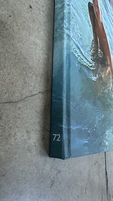 アート・デザイン・音楽 Mario Sorrenti Fotografie Stern No. 72 Mario Sorrenti Fotografie Stern No. 72. Hardcover. Kate Moss. Rare