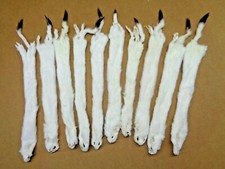 #1 Quality L Tanned White Ermine/Weasel/Fur/Crafts/Trapping/Stocking Stuffers
