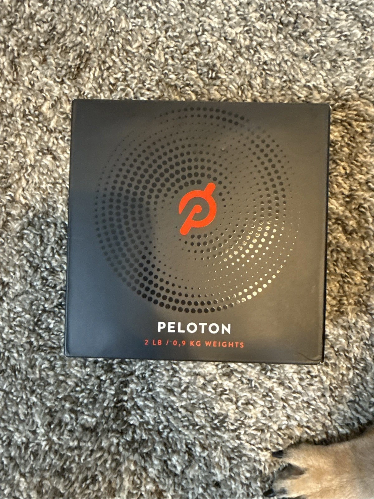 Peloton Hand Weights Dumbbells 2 LB 0.9 KG Weights Set of 2 Black New
Opens in a new window or tab
