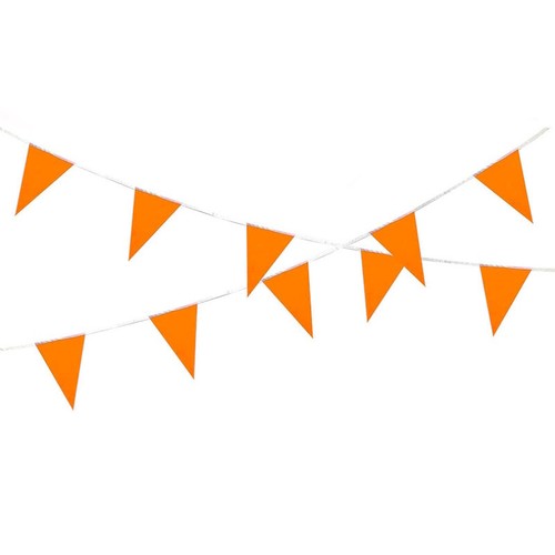 Bunting Triangle Flag's Party Fete Occasions Decorations 30+ Designs To Choose - Picture 76 of 103