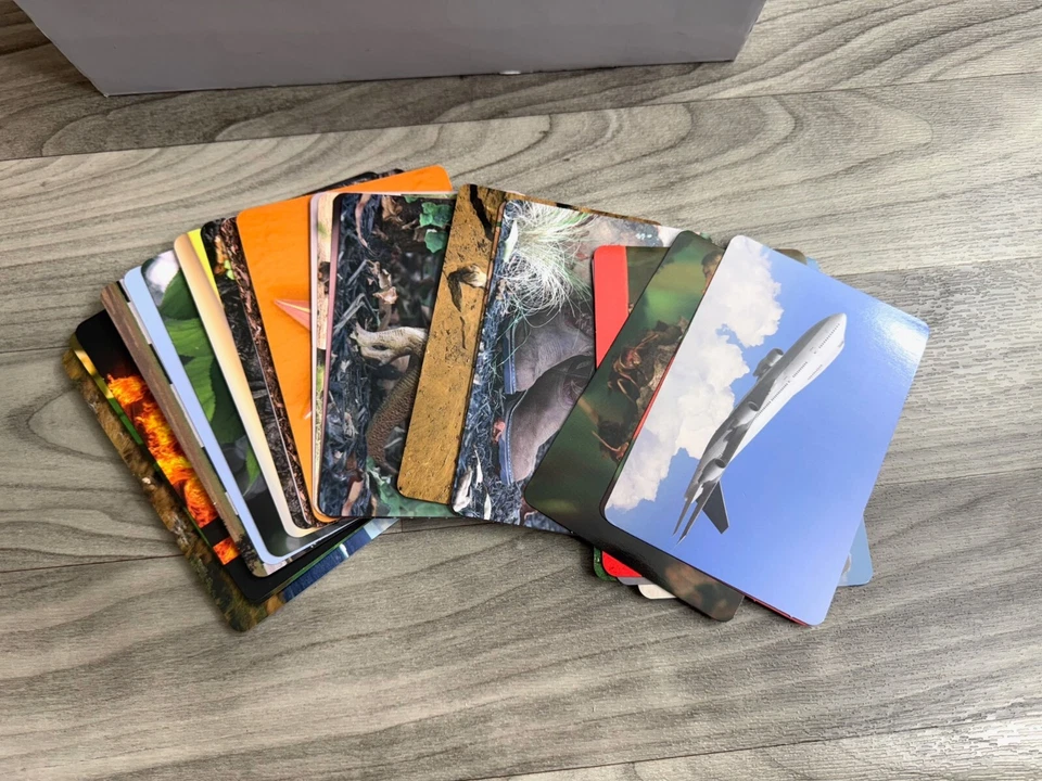 BILINGUAL CURRICULUM VOCABULARY WORD PHOTO ACTIVITY FLASH CARDS LANGUAGE SET - Image 4 of 4