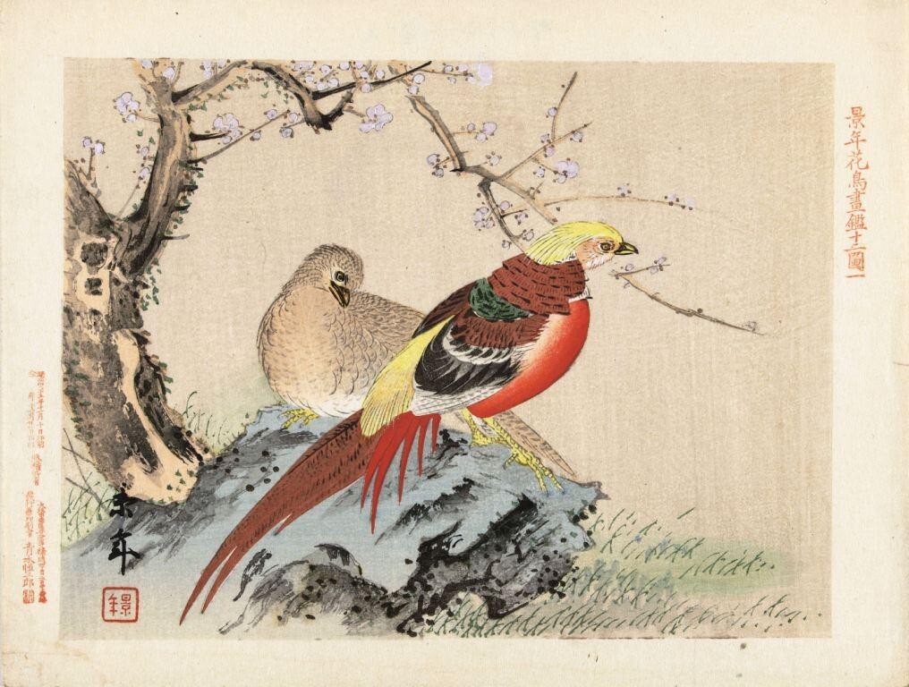 Chinese Pheasants Imao Keinen 1891 Meiji Japanese Woodblock Bird