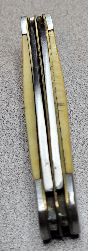 Cuchillo de Bolsillo Trampero de Bolsillo 2 Hojas Cubiertos Cola Blanca Cuerno de Hueso Foto 4 de 4