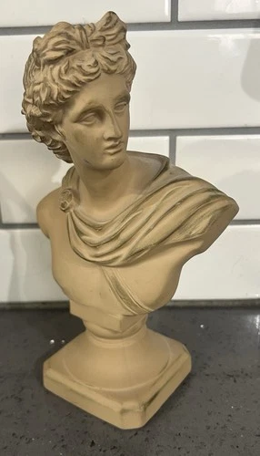 Apollo Belvedere Greek Roman Style Statue Bust Of A Man Plaster 9.5” Brown