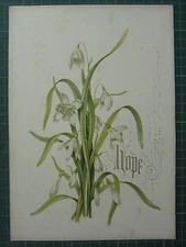 1848 PRINT ~ SNOW DROP - HOPE - FLOWERS AND THEIR KINDRED THOUGHTS