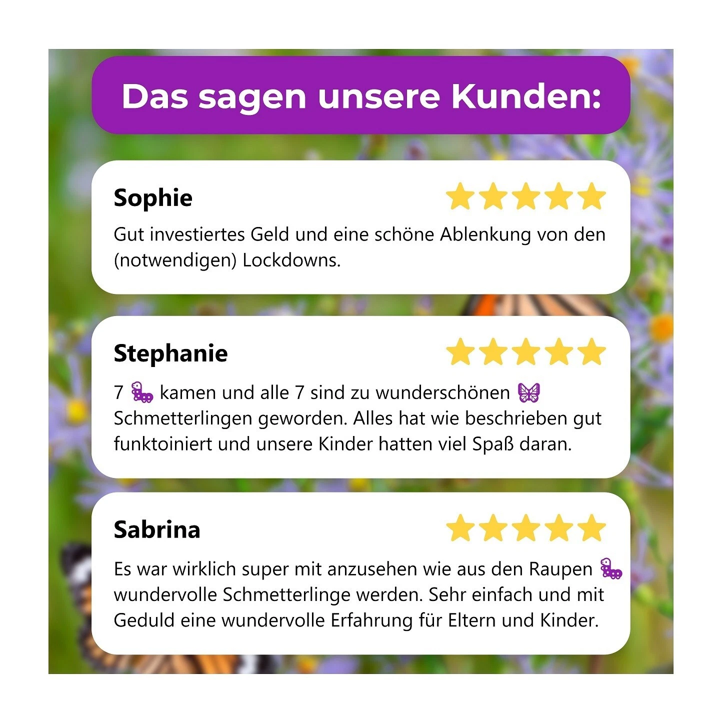 Bild 14 von 16