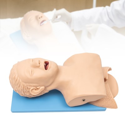Intubation Manikin Teaching Model Intubation Training Model Education Training
