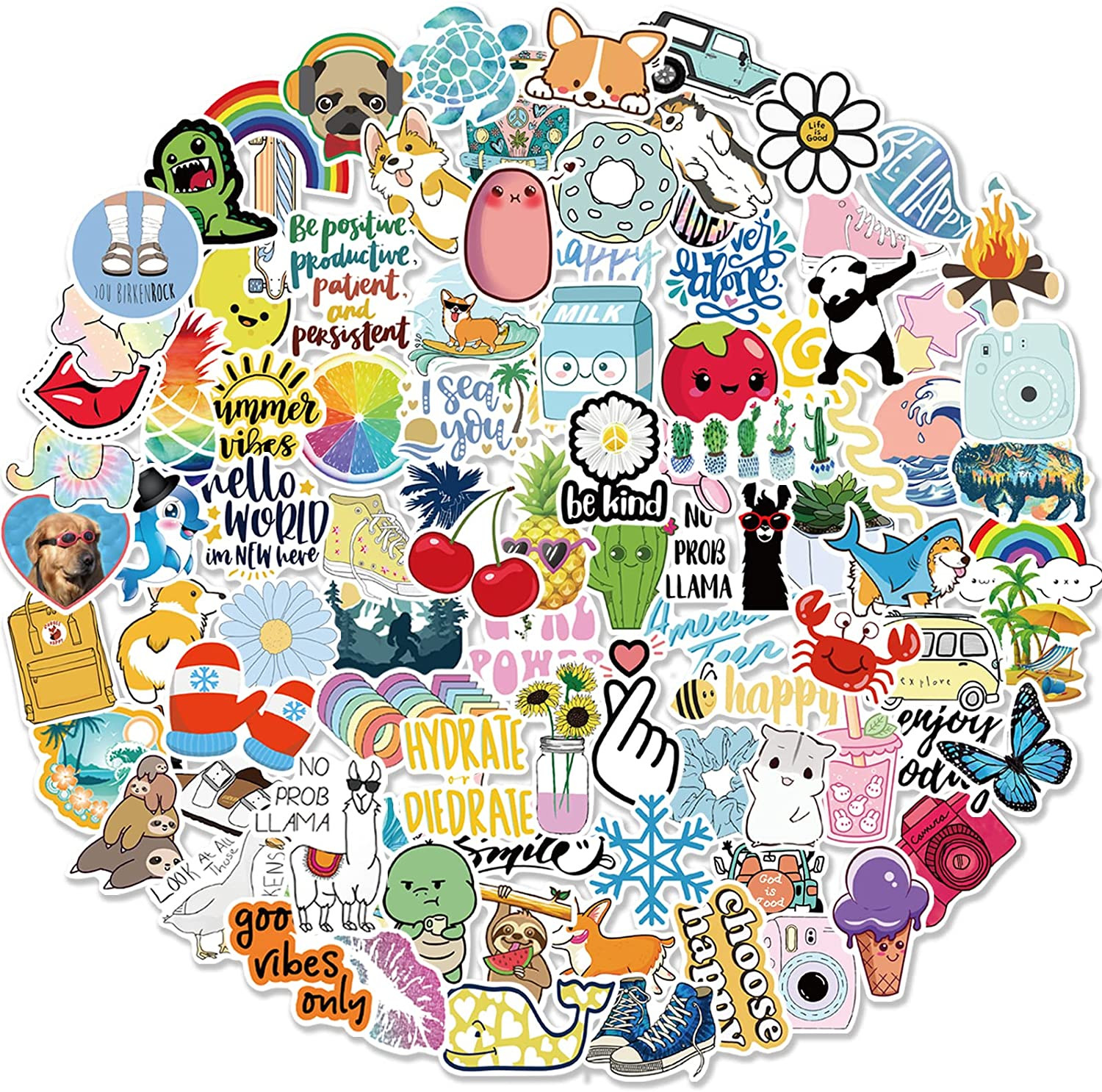 Stickers for Water Bottles, 100 Pack/Pcs Hydroflask Stickers