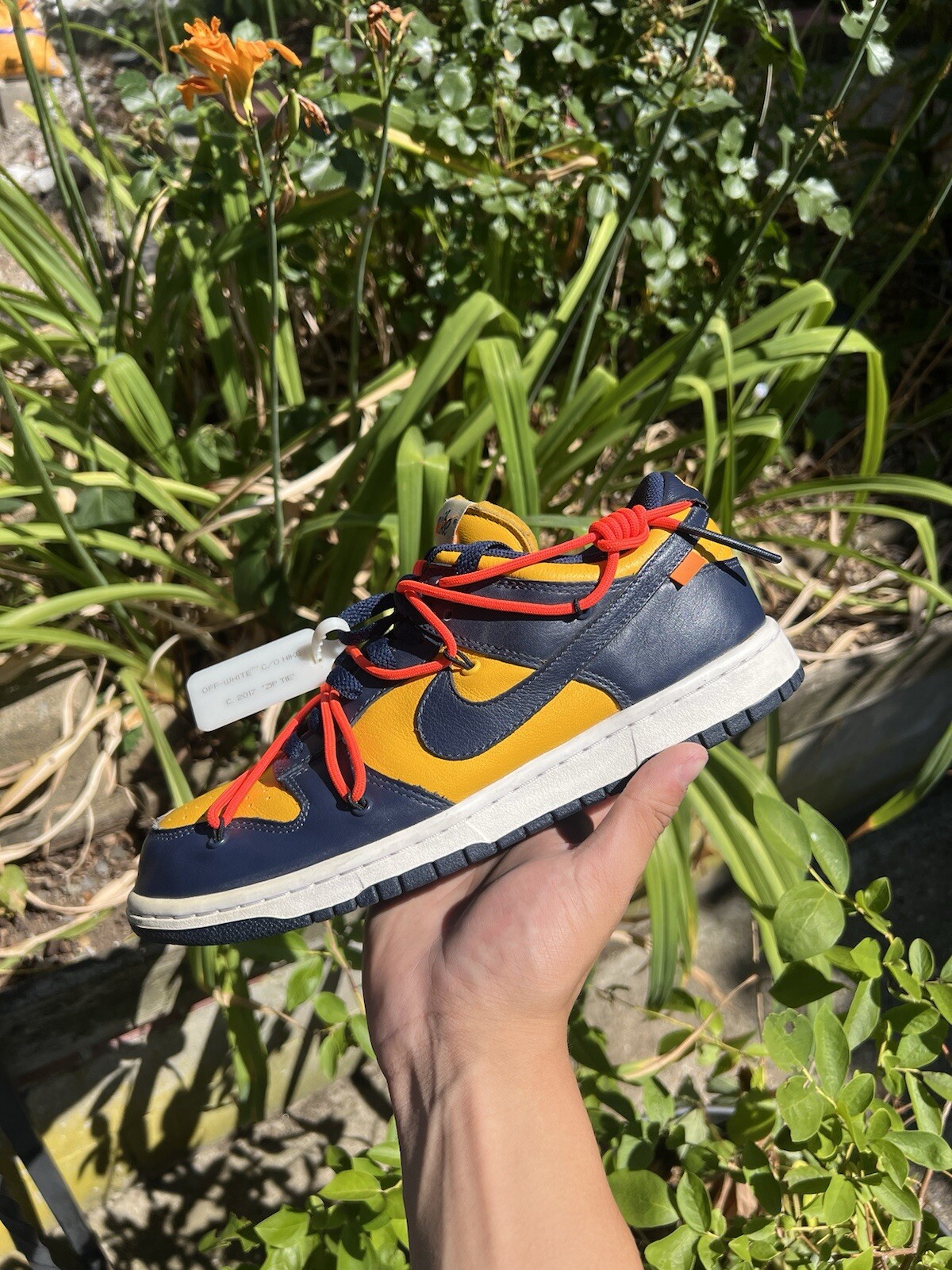 OFF WHITE X NIKE Taglia 9 5 Nike Dunk Low x BIANCO SPORCO oro universitario 2019