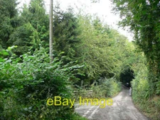 Photo 6x4 I planted these trees! Bedstone I can't believe how big th c2006