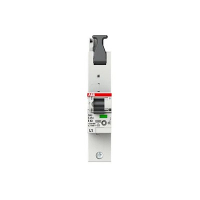 SLS-Schalter 63A 1-polig Hauptleitungsschutzschalter E-Char 230V 25kA