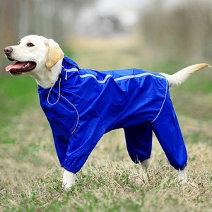 dog raincoat labrador