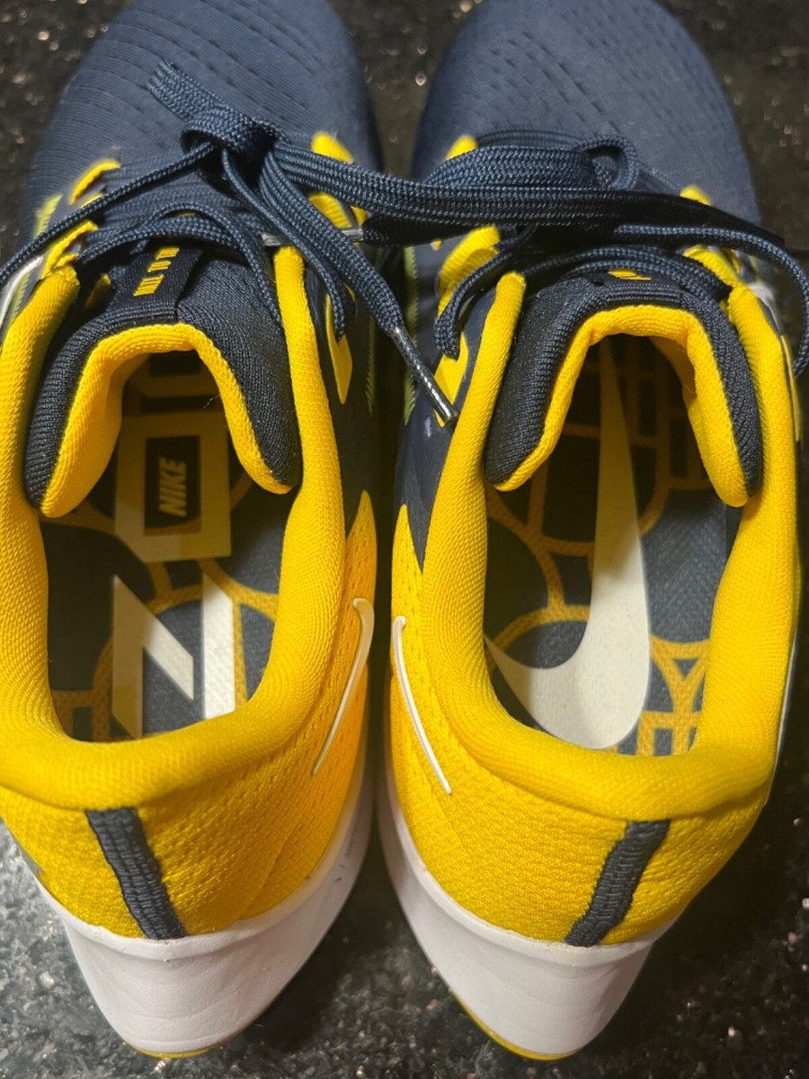 NIKE Air Zoom Pegasus 38 University of Michigan Wolverines  display picture 1