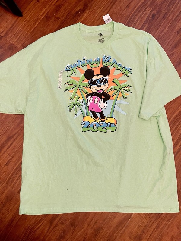 Men’s Disney Shirt Size 2XL, Mickey, Spring Break 2024, Disney World, Green, Tee