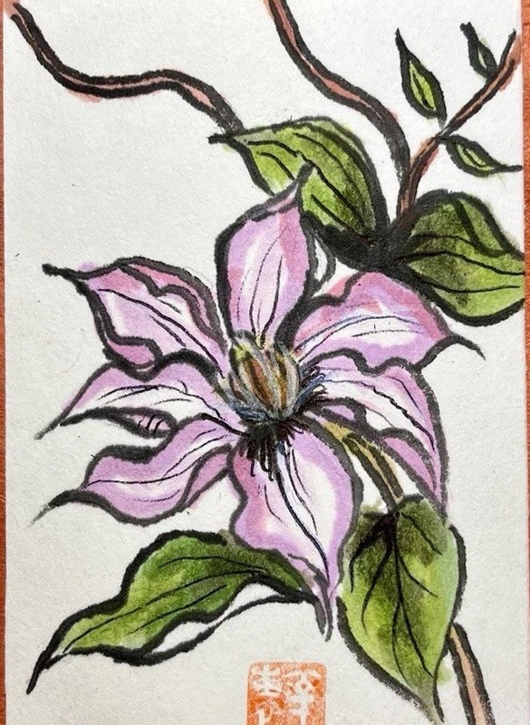 Original ACEO Pink Clematis- Sumi Ink