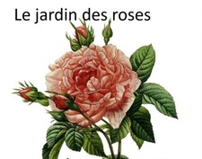 Teekanne England antik Silberauflage Sheffield Art Nouveau Design geschützt