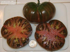 120 Black From Tula Tomato Seeds   Heirloom    RARE