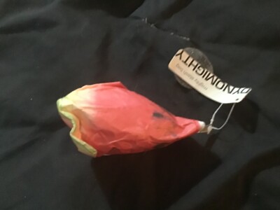 might stash bag watermelon new with tags change purse