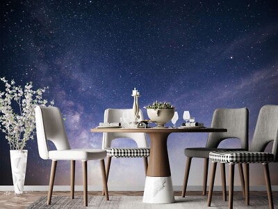 3D Blue Night Sky K1193 Wallpaper Mural Self-adhesive Removable Sticker Panda