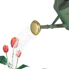 1 Gallon Plant Watering Can Copper Plated Metal Watering Can with Spout, Green