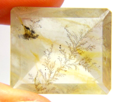 IP4  Dendrite Quartz 23.34ct 21x18x9mm Rectangular picture stone garden branches