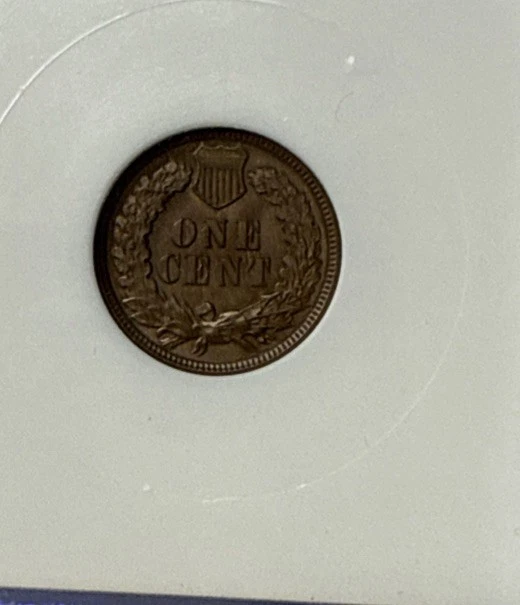 1893 Indian Head Cent - NGC MS 65 BN - Image 3 of 3