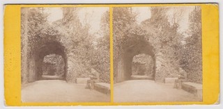 Cornwall Stereoansicht Mount Edgecumbe und Lorbeer Spaziergang von William May von Devonport