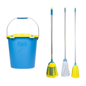 ebay flash mop