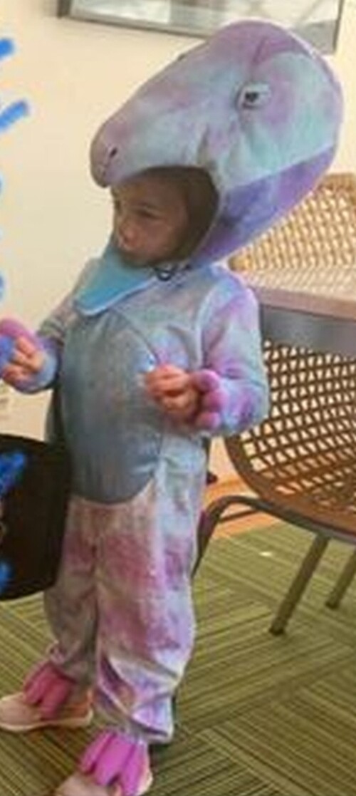 Kids Stegosaurus Dinosaur Costume - Full Jumpsuit With Hood, Gloves & Shoe Covers (Size 7-9 Years) - View #5