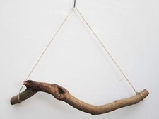 60cm 2ft Thick GNARLY Knotty Twisted Beech or Oak Natural Tree Branch Stick