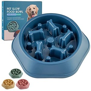 sectioned dog bowl