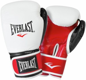 everlast 14oz leather boxing gloves