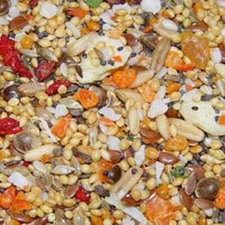 HIGGINS Sunburst FRUIT & VEGGIE Small Bird Parrot Mix Treat Canary Finch Keet 