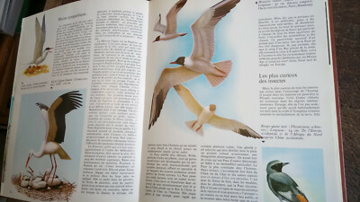 Encyclopédie "Les Animaux" - 5 Volumes Complets - Monde Animal - Langue Française