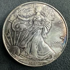 2013 American Silver Eagle 1 oz .999 Fine Silver Coin Nicely Toned NATURAL TONE