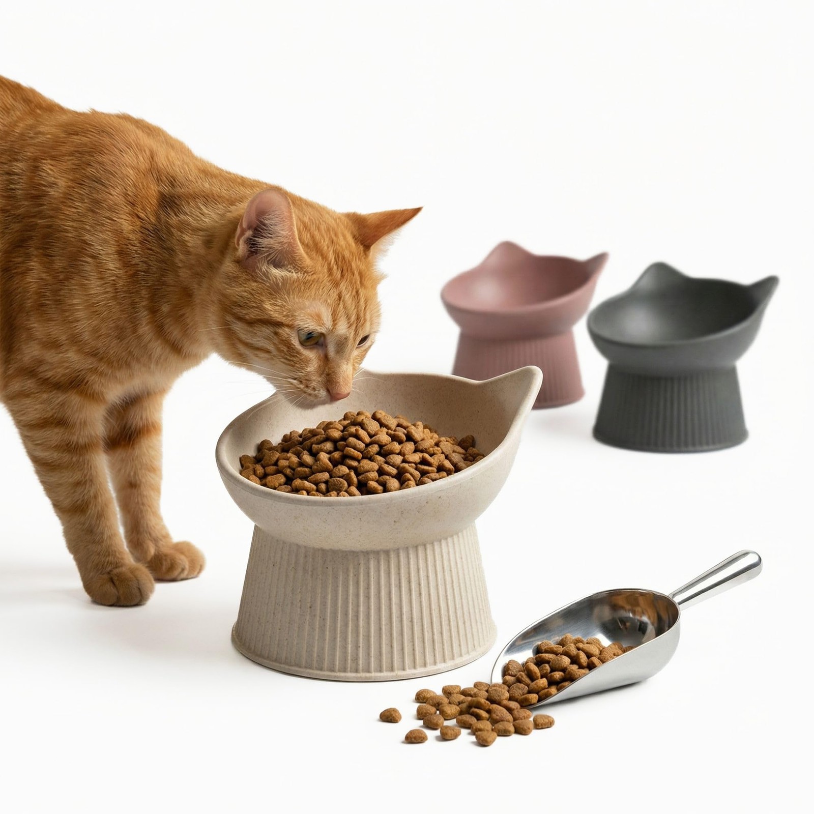 Gamelle ergonomique pour chat en verre borosilicate, support surélevé de luxe noir