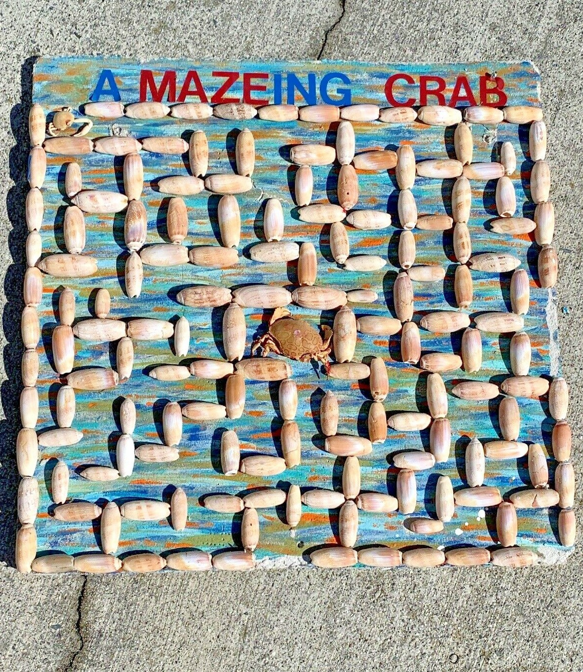 Original ART OOAK Seashell Conch BLUE CRAB MAZE Beach Ocean Nautical Decor 24/24