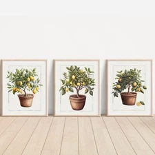 Set of Lemon Trees ART PRINTS Wall picture Home (A4  Sized, unframed)