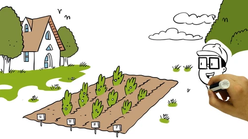Gewächshausfolie Gitterfolie Frühbeet Gewächshaus Gewebefolie Gartenfolie 250g - Video 1 von 1