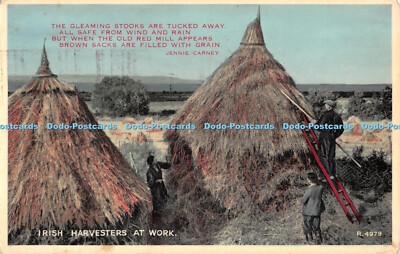 R485071 Irish Harvesters at Work R 4979 The Gleaming Stooks are tucked away all