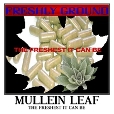 MULLEIN LEAF The Freshest It Can Be 100 Vegetarian Capsules No Additives