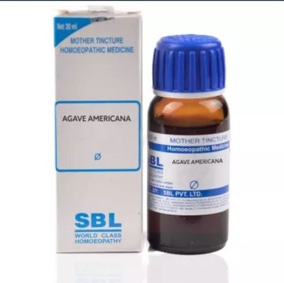 SBL Agave Americana Mother Tincture Q