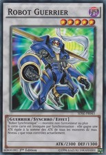 Yu-Gi-Oh: Kriegerroboter | SDSE-FR043 | Commune | NM | DE