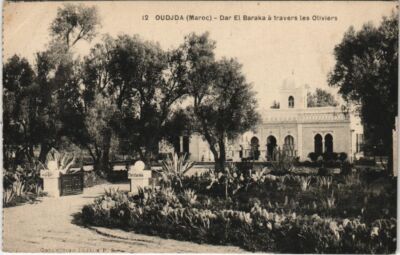 CPA AK MAROC OUDJDA Dar El Baraka a travers les Oliviers (31096)