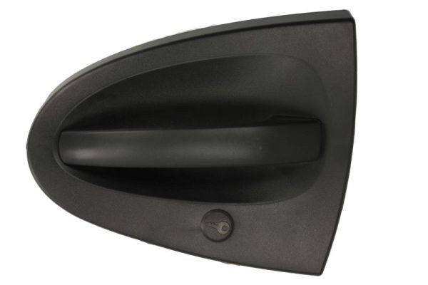Left BLIC 6010-02-004401P Exterior Door Handle for SMART