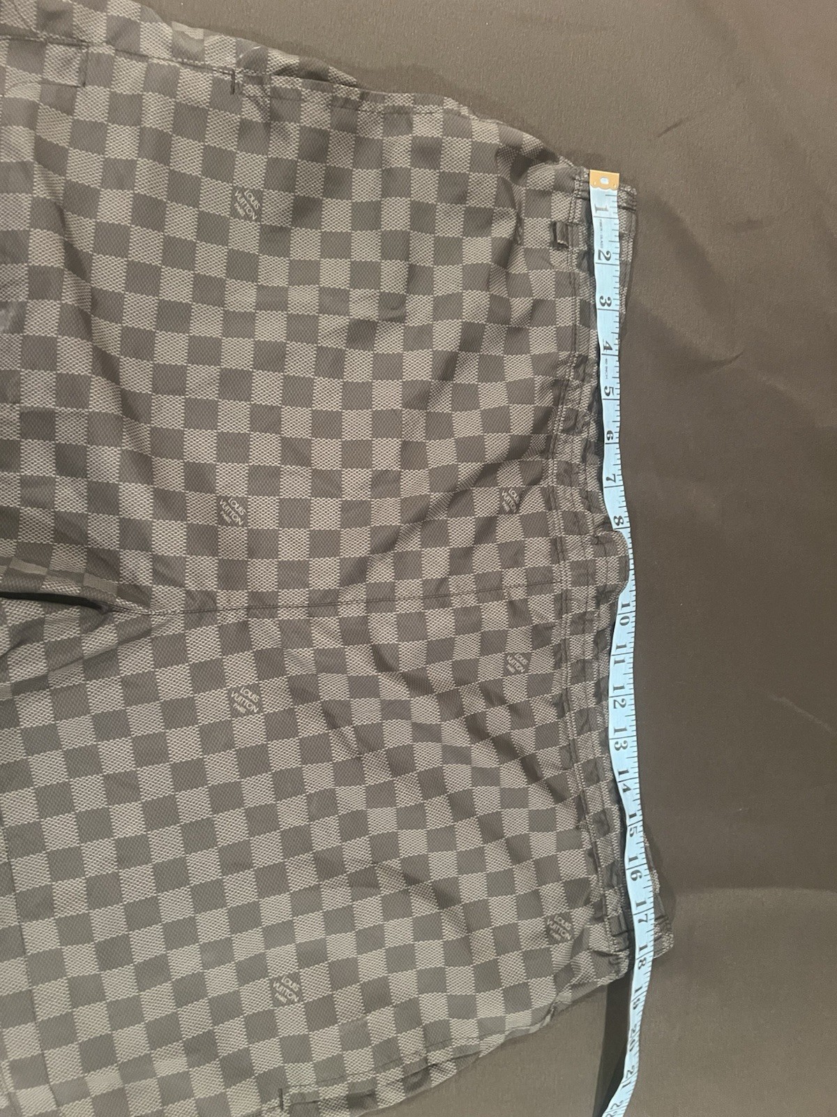 Louis Vuitton Men’s Swimsuit Shorts.XL image 2